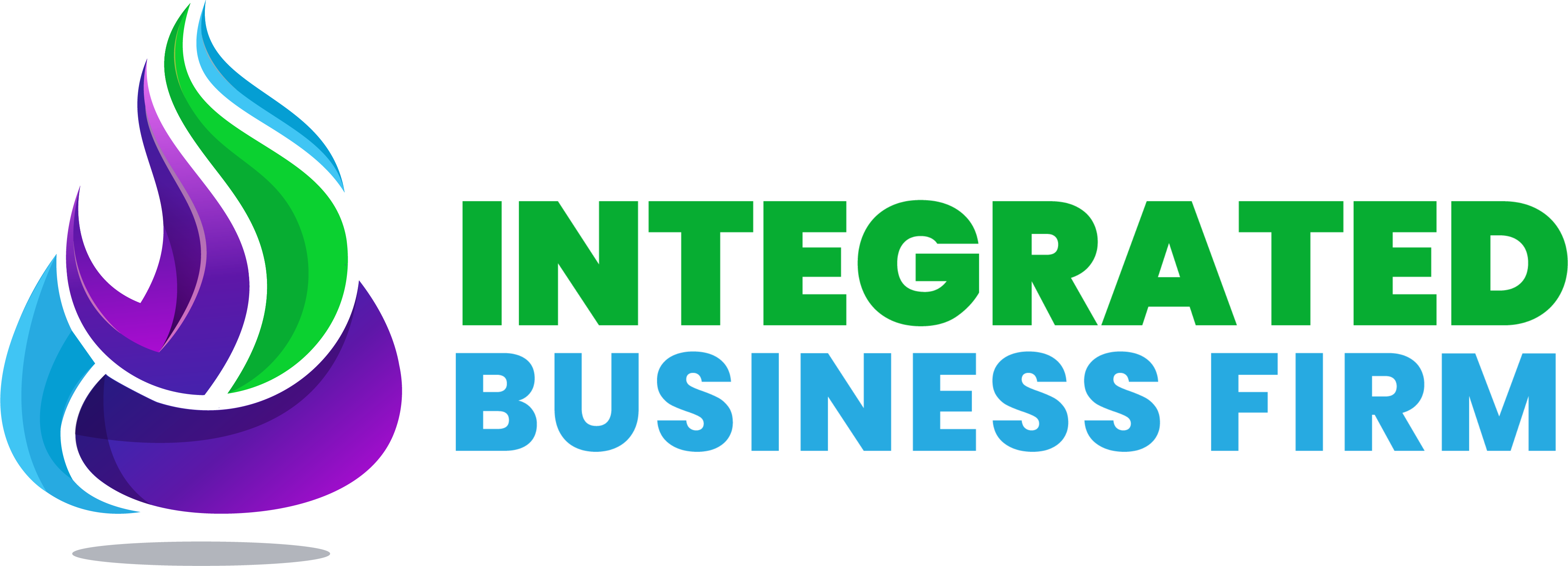 Integrated Business Firm Inc.